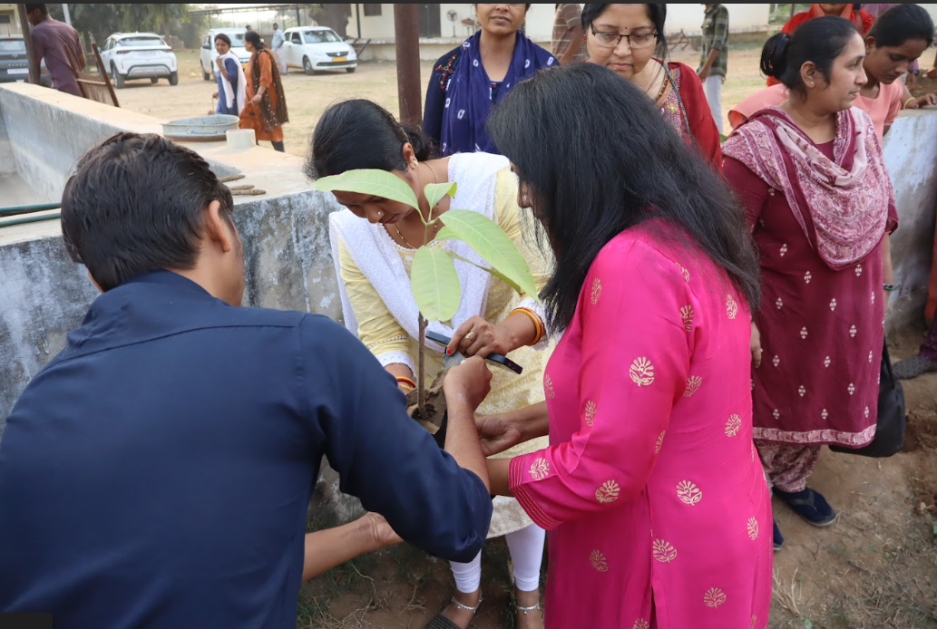 Sponsorship Programme